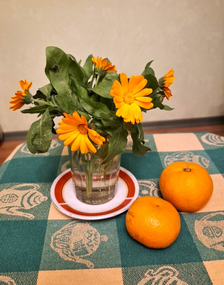 Photograph by Нелли Канивец