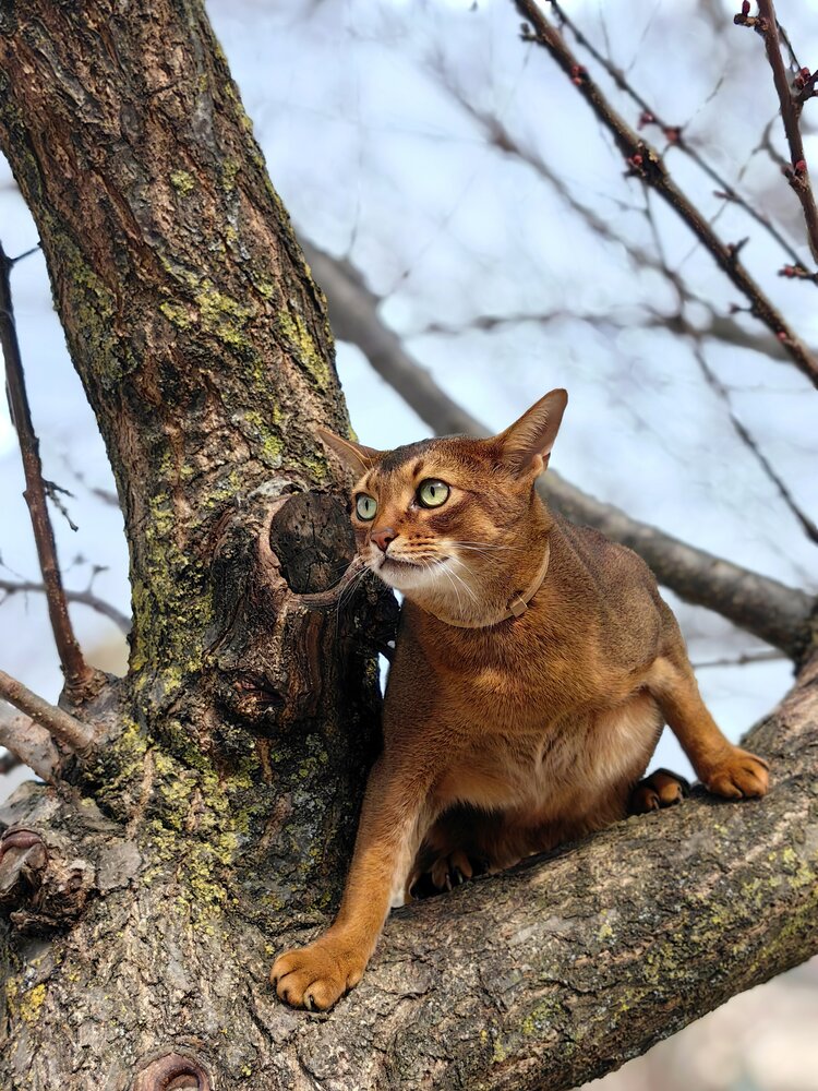 Photograph by OLGA MIKHNEVICH