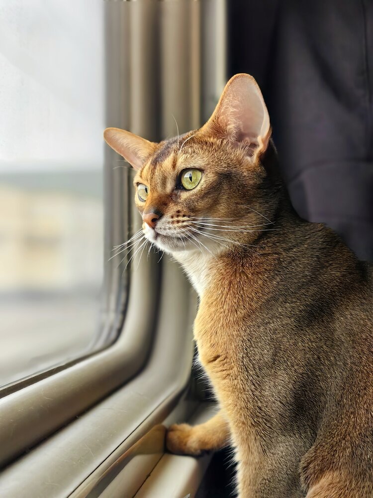 Photograph by OLGA MIKHNEVICH