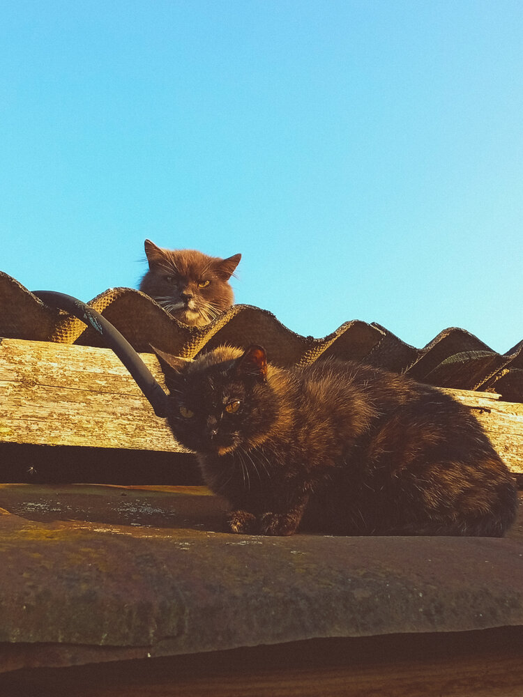 Photograph by Yulia Chupina