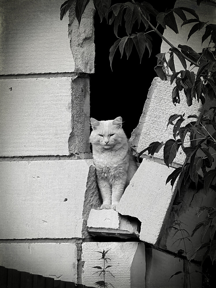 Photograph by Диана Токаревич