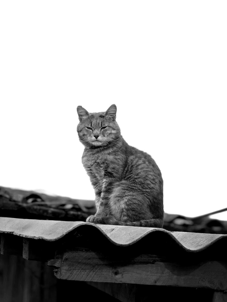 Photograph by Диана Токаревич