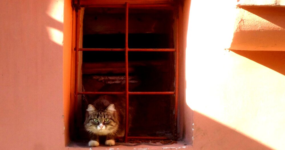 Photograph by Сергей Хвостовец