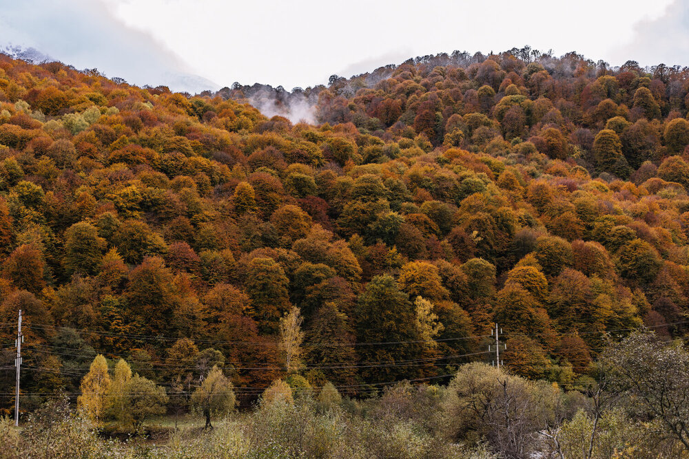 Photograph by Кристина Брызгалина