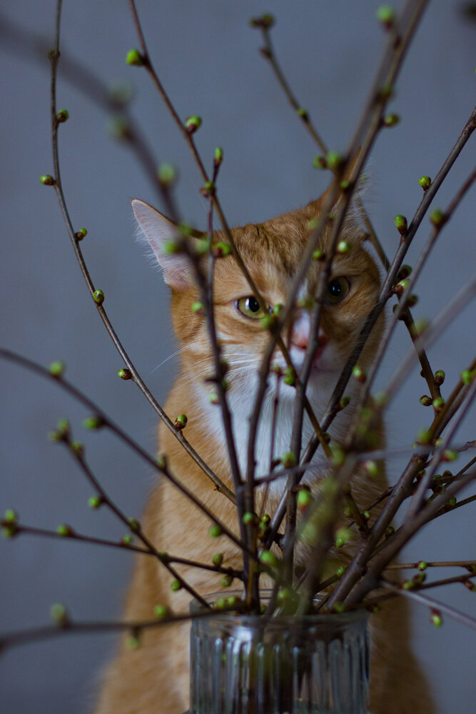 Photograph by Татьяна Ремизова