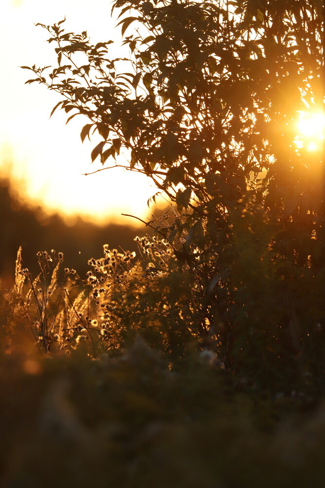 Photograph by Татьяна
