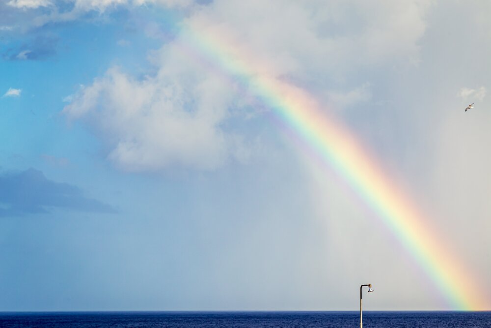 Photograph by Karim Shokair