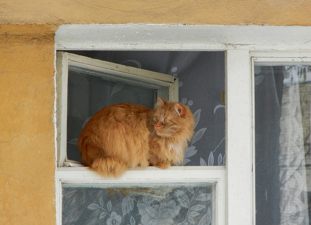 Photograph by Галина Лубянникова