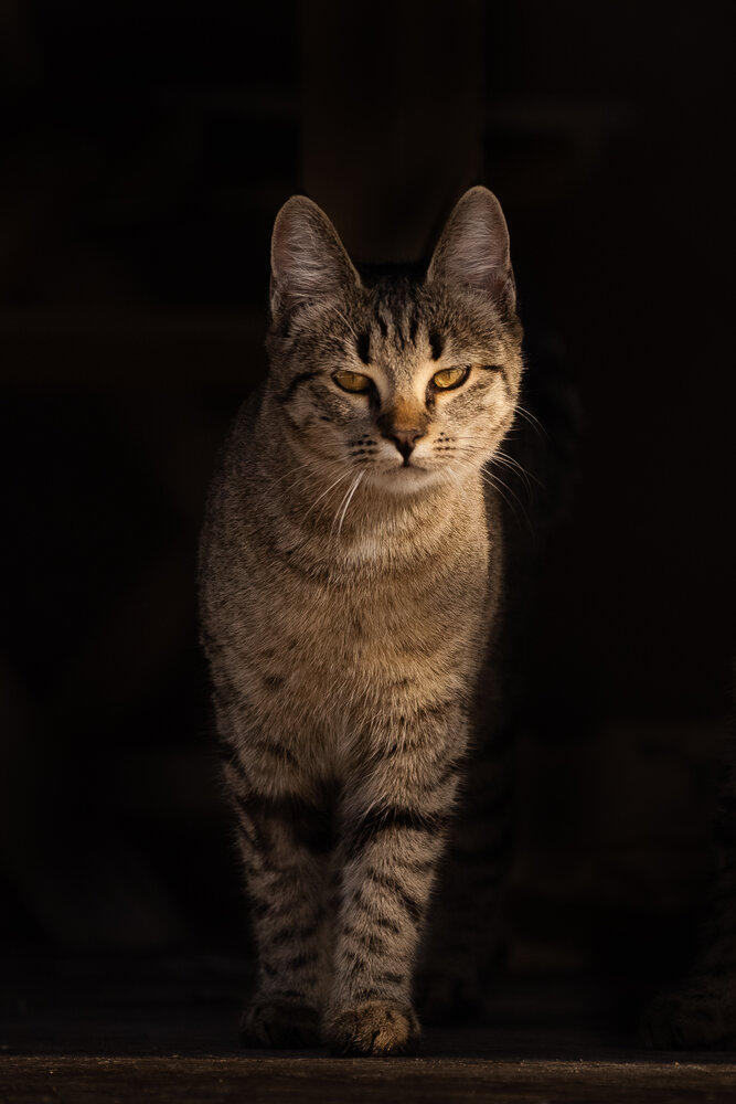 Photograph by Милана Маллер