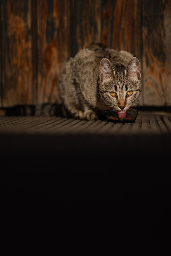 Photograph by Милана Маллер