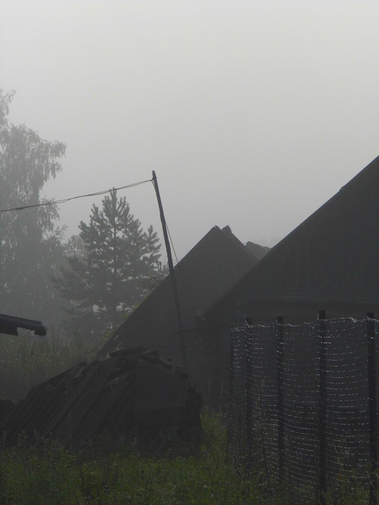 Photo #14027241