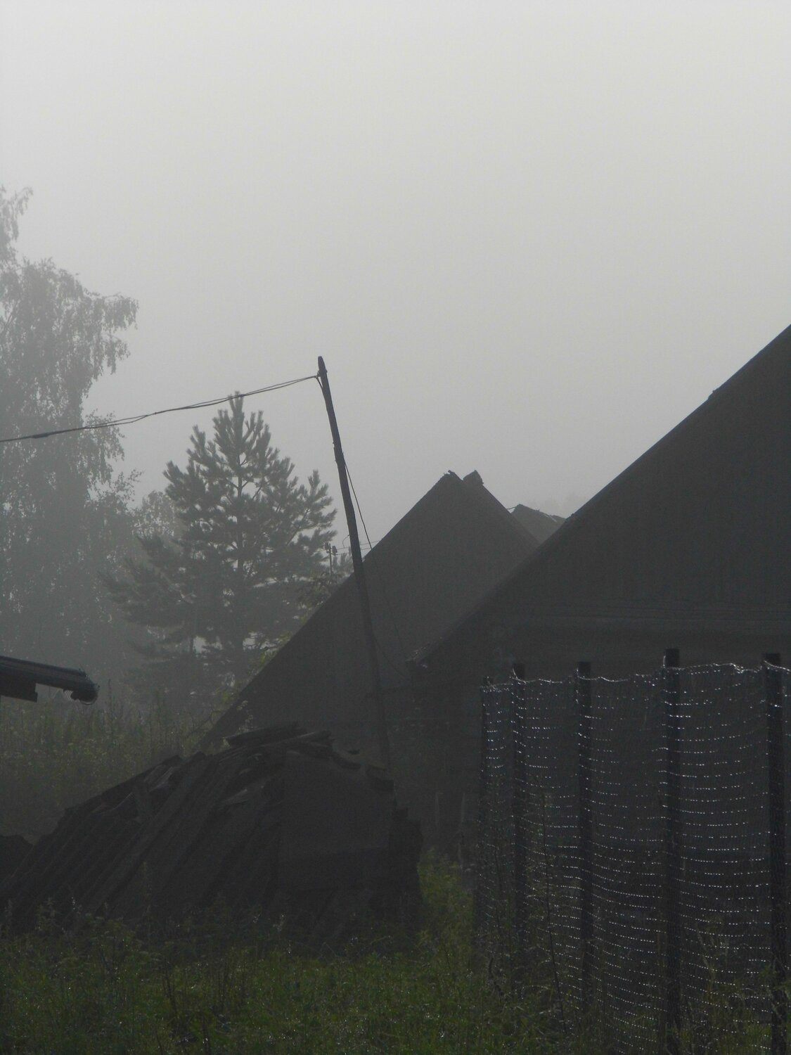 Photo #14027241