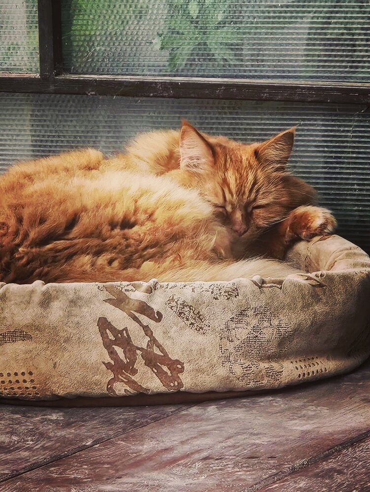 Photograph by Татьяна Никонова