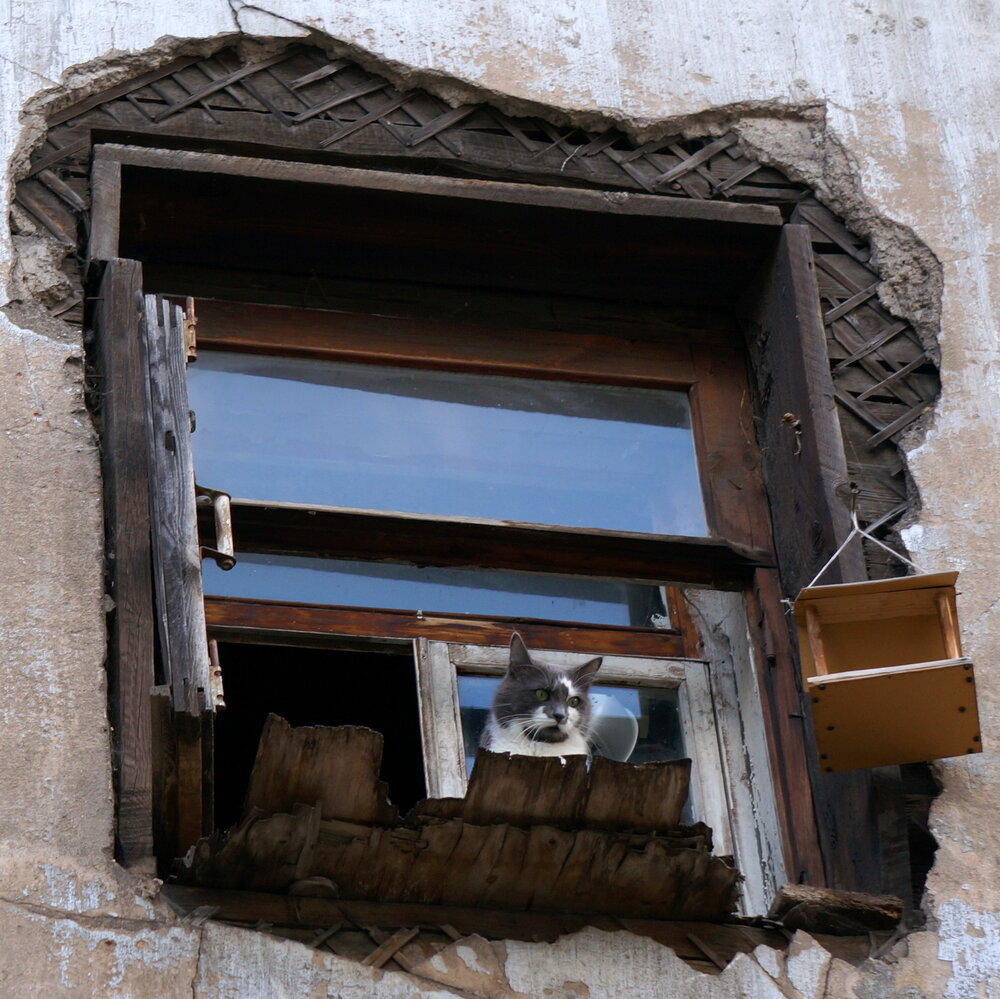 Photograph by Блюмина Елена