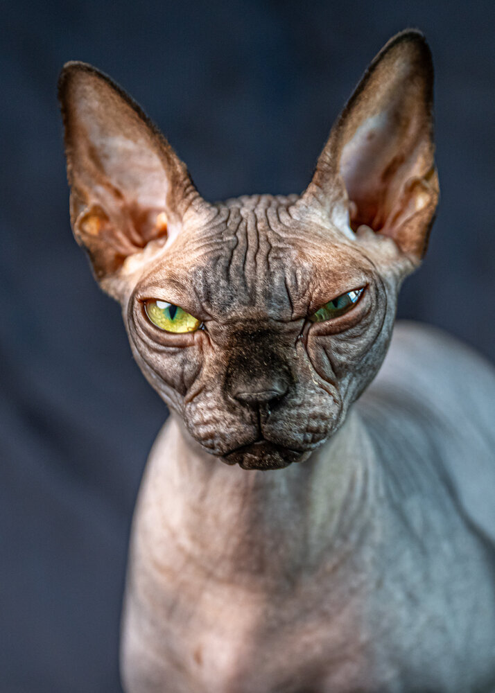 Photograph by Sergey Rygin