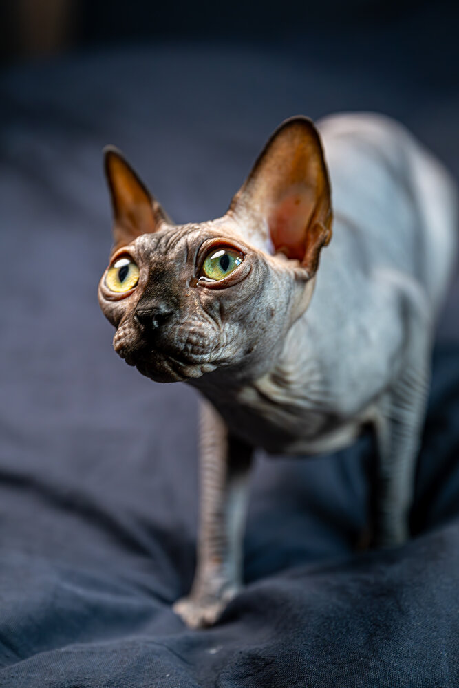 Photograph by Sergey Rygin