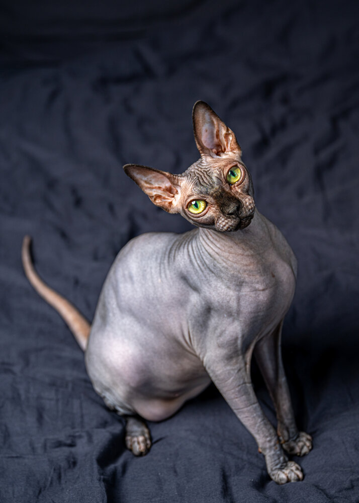 Photograph by Sergey Rygin