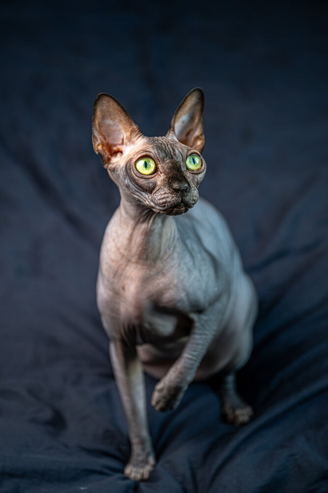Photograph by Sergey Rygin