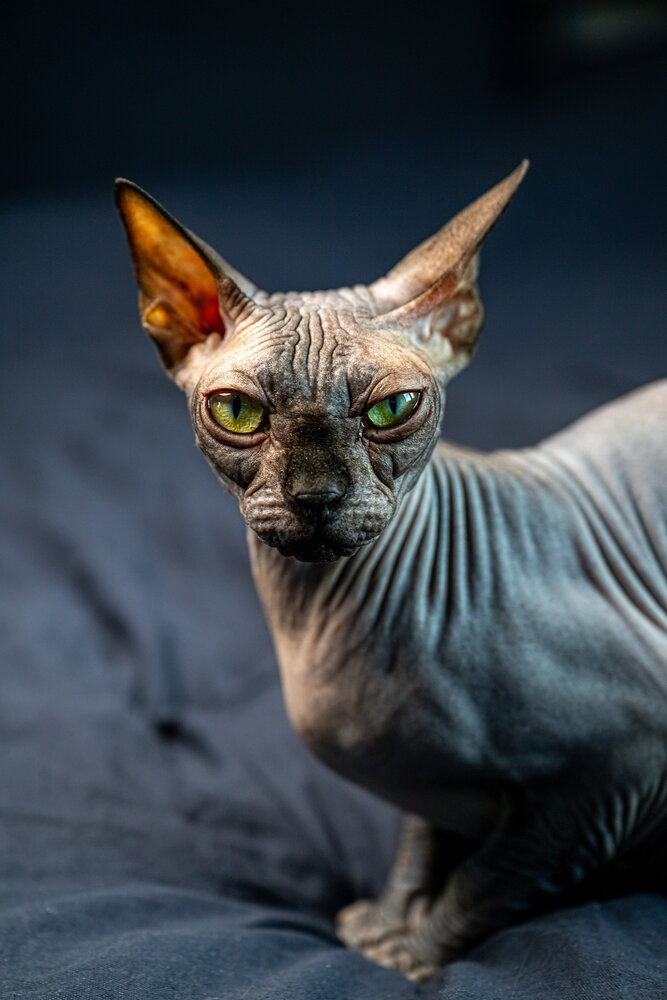 Photograph by Sergey Rygin