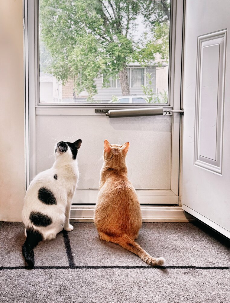 Photograph by Юлия Порфирьева