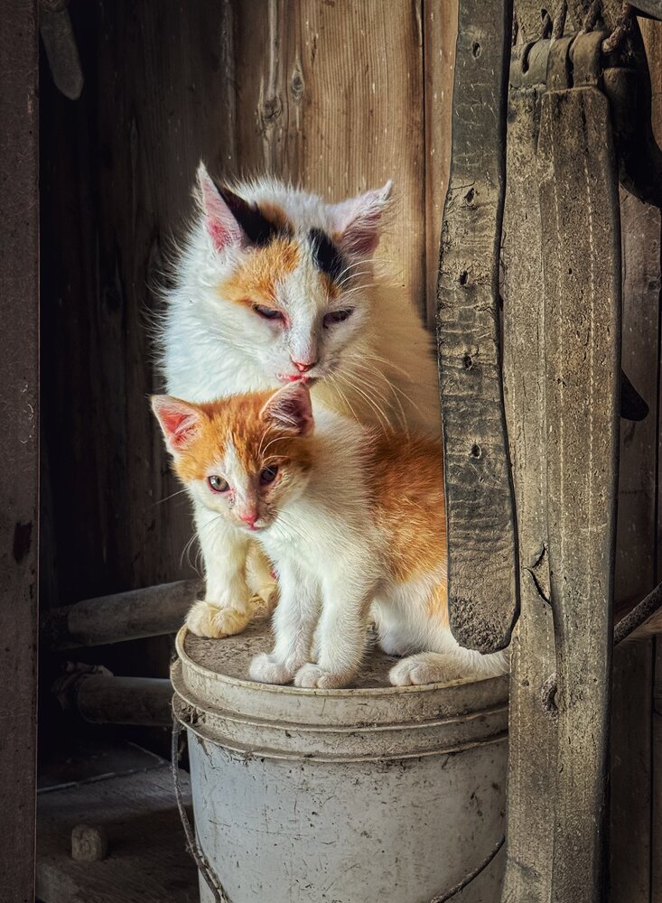 Photograph by Юлия Порфирьева