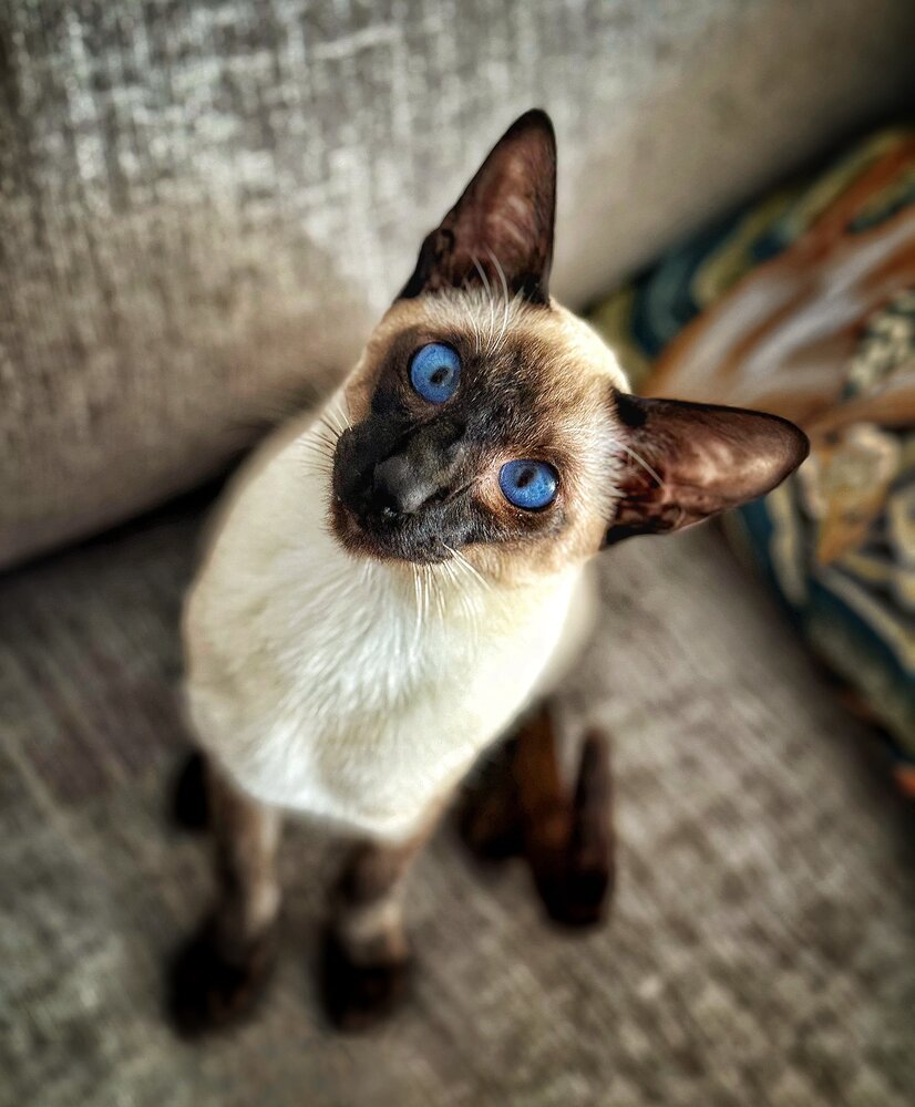Photograph by Юлия Порфирьева