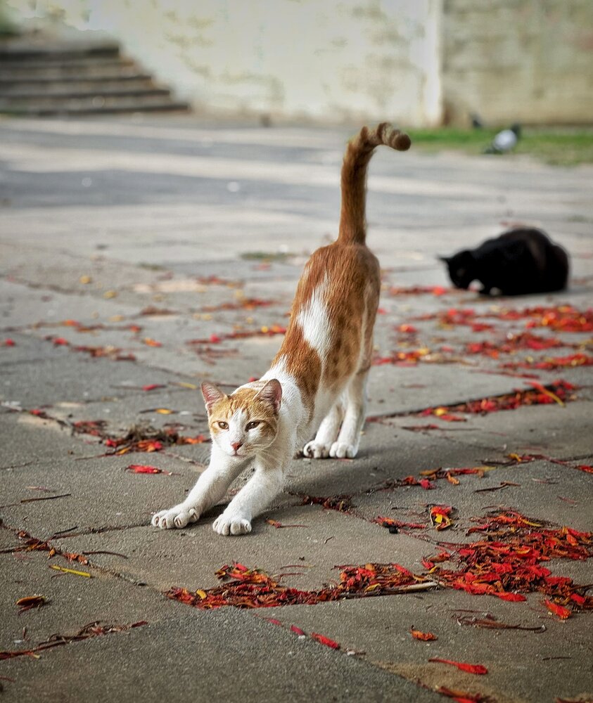 Photograph by Юлия Порфирьева
