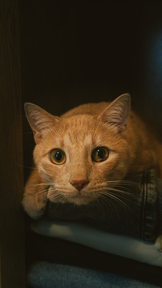 Photograph by Вадим Дорофей