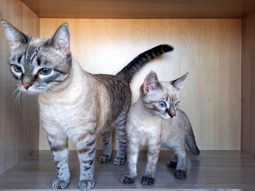 Photograph by Оксана Костенко