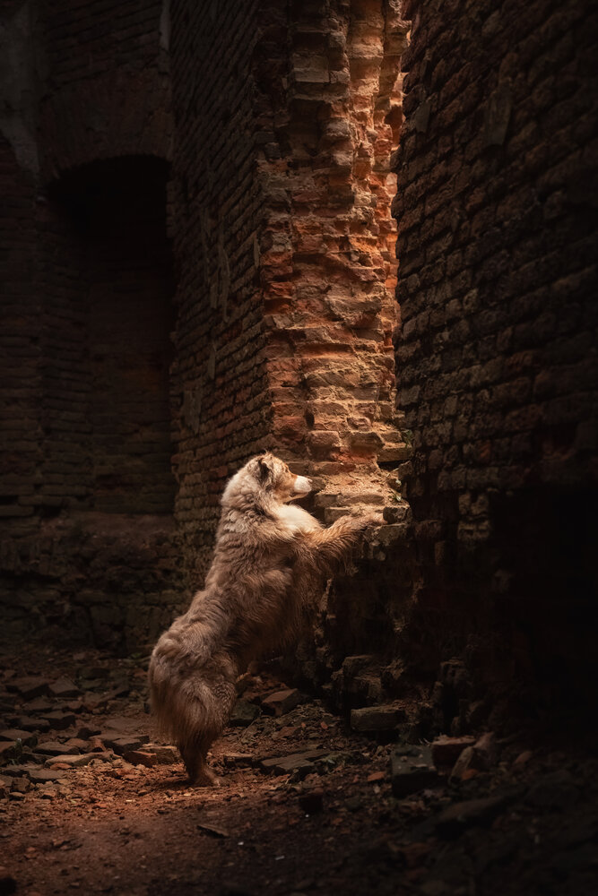 Photograph by Милана Маллер