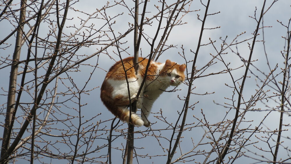 Photograph by Юлия Огальцева