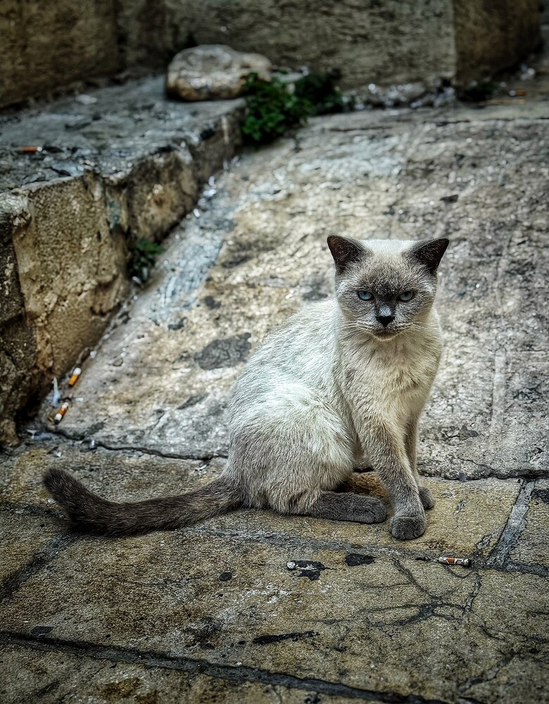 Photograph by Юлия Порфирьева