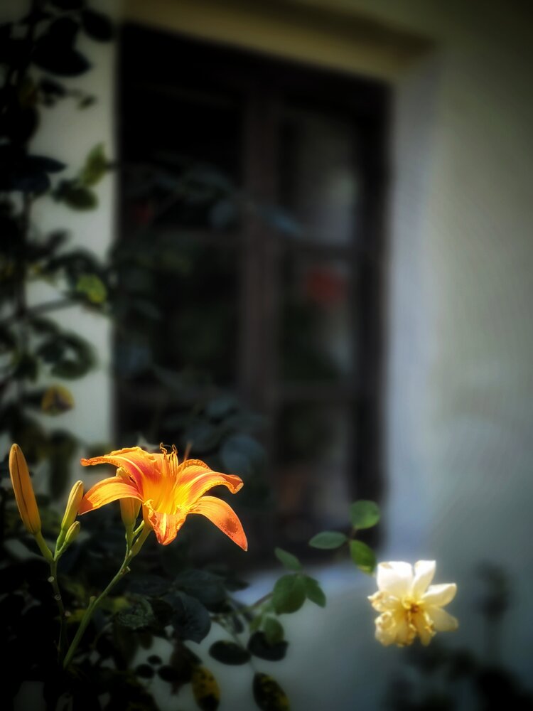 Photograph by Kateřina Mařáková