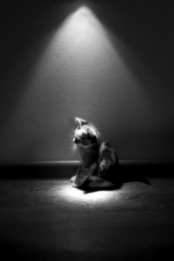 Photograph by Елена Горева