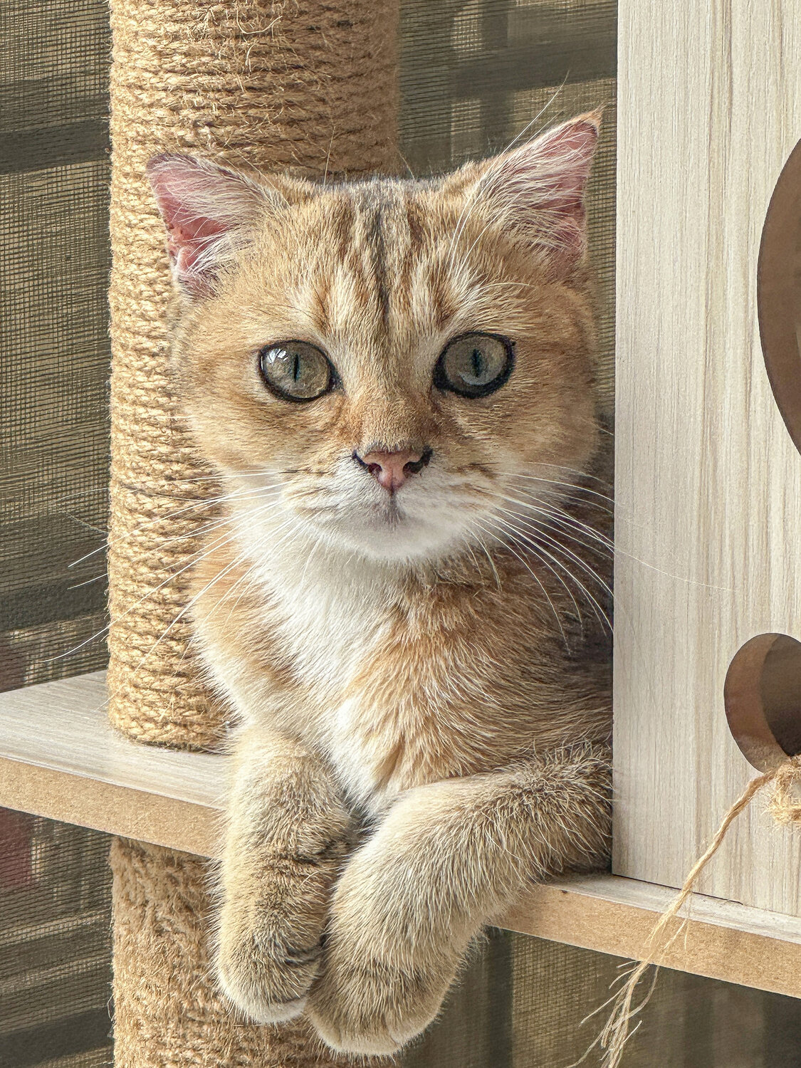 Photo #14027447