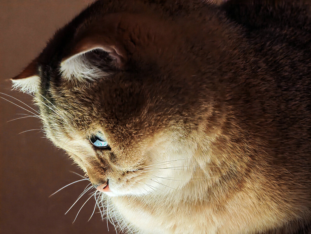 Photo #14027458