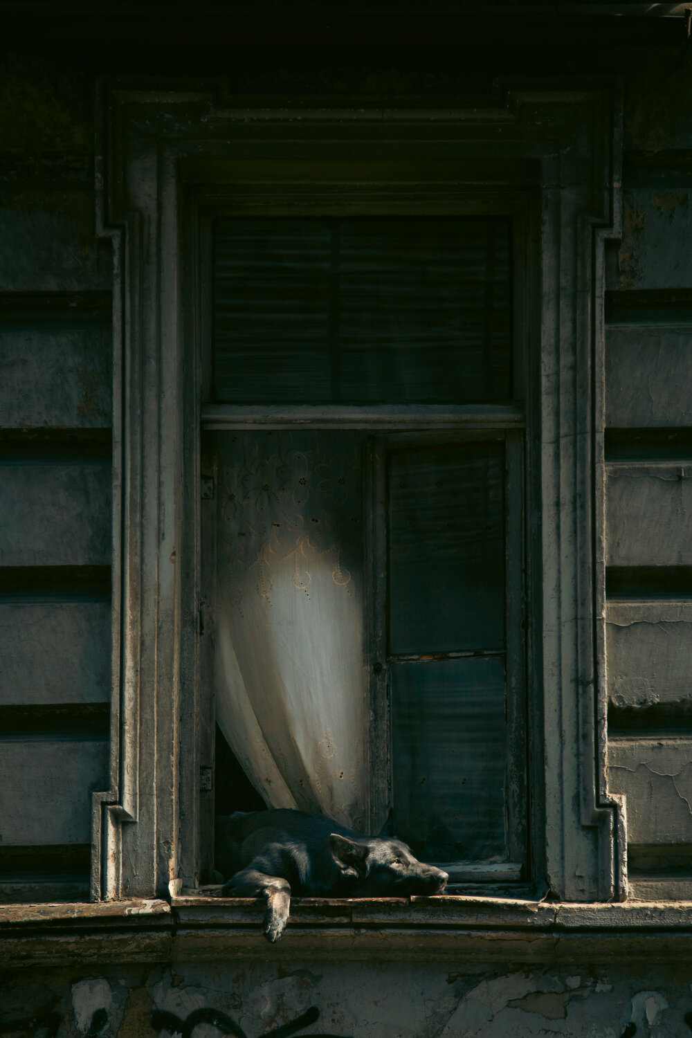 Photo #14027483
