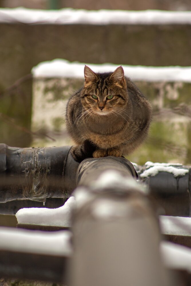 Photograph by Павел Калюжко