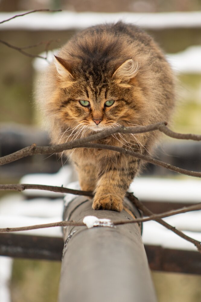 Photograph by Павел Калюжко