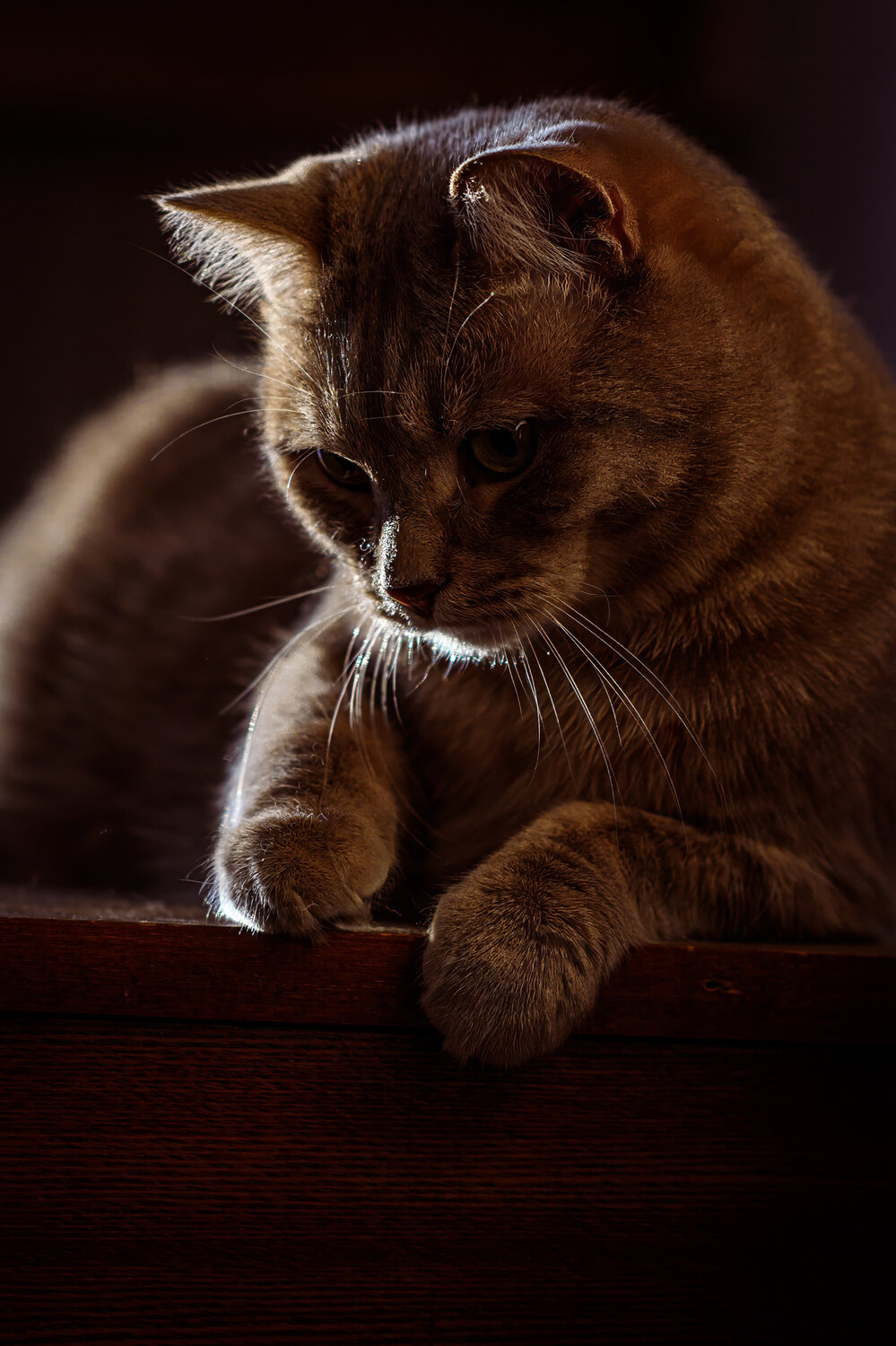 Photo #14027512