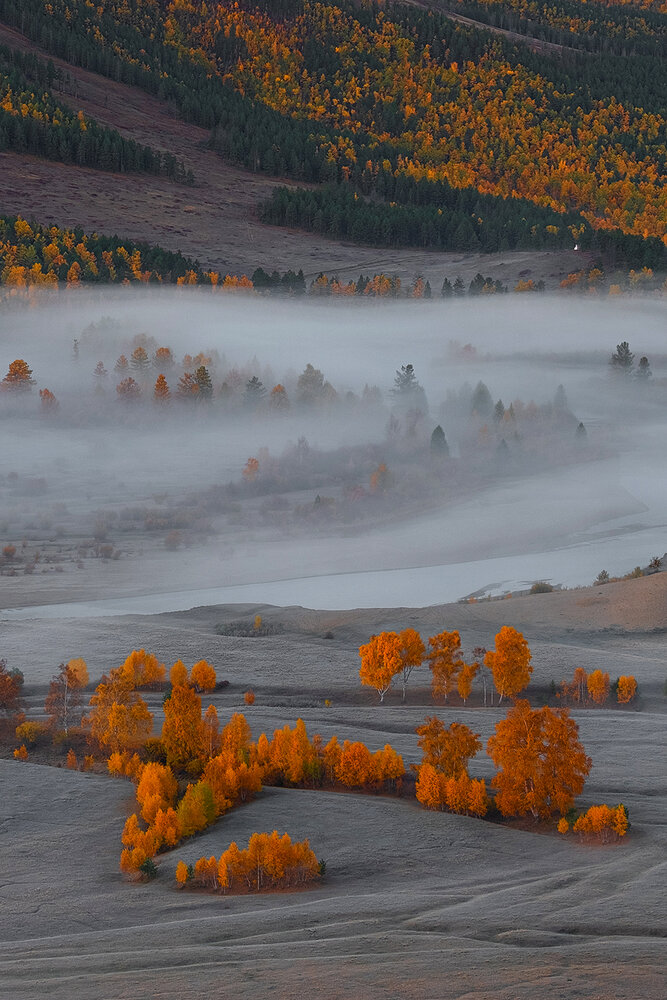 Photograph by Госпадарёв Александр