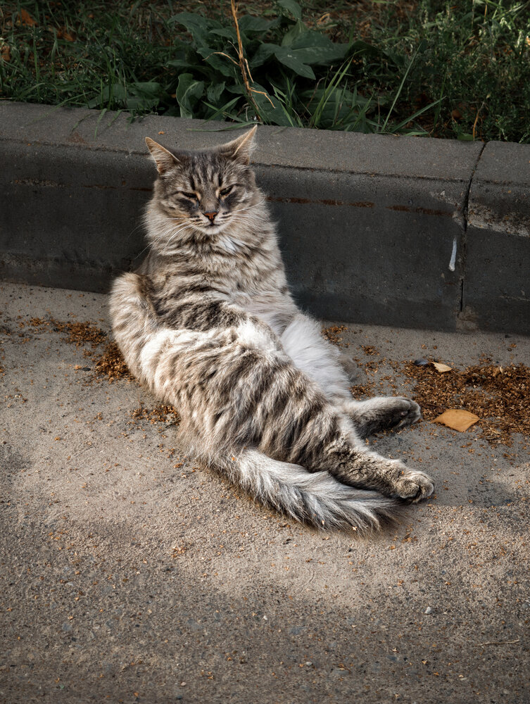 Photo #14027537
