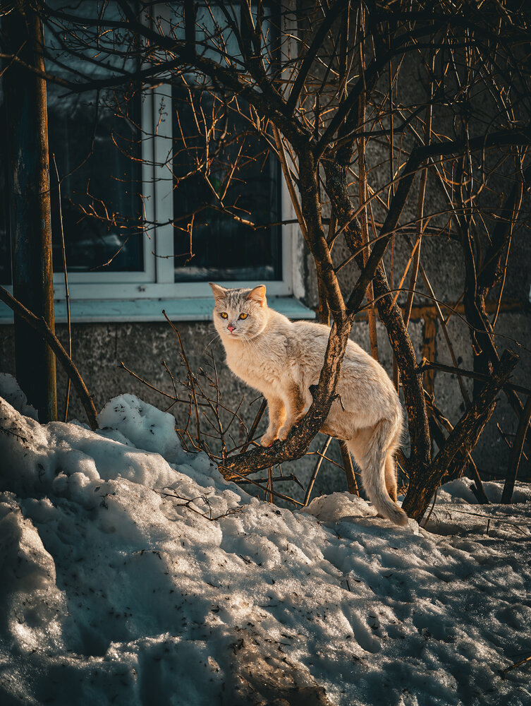 Photograph by Konstantin Martynov
