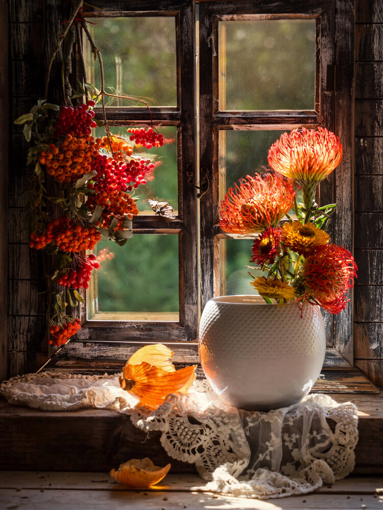 Photograph by Olga Schmidt