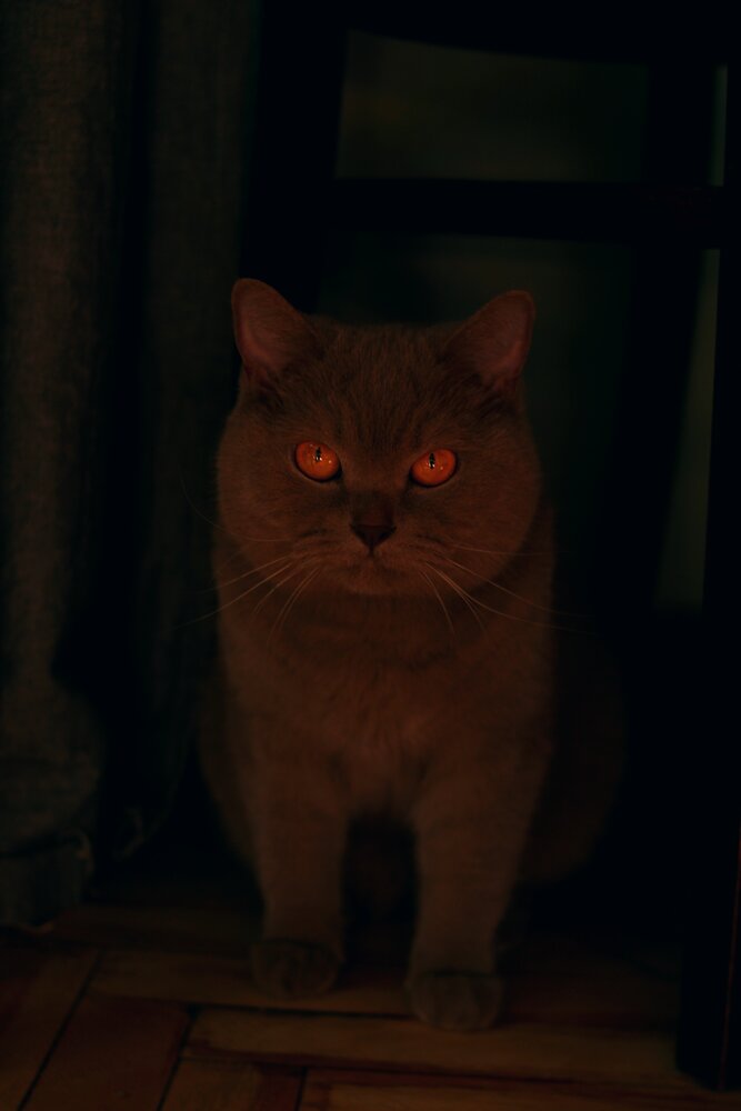 Photograph by Ксения Шапошник