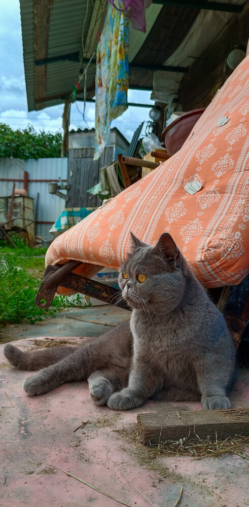 Photo #14027587
