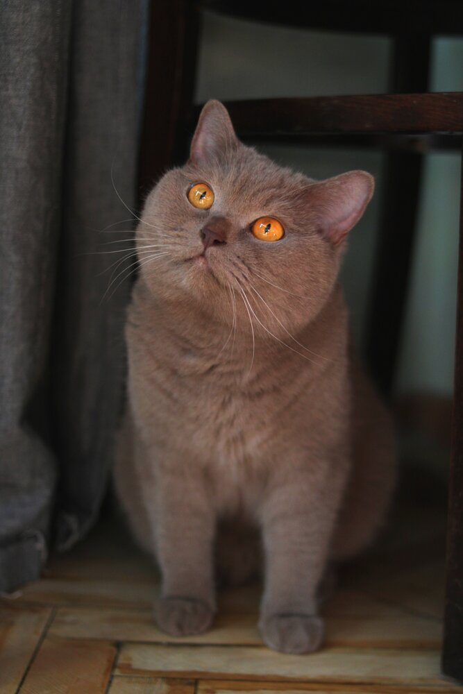 Photograph by Ксения Шапошник