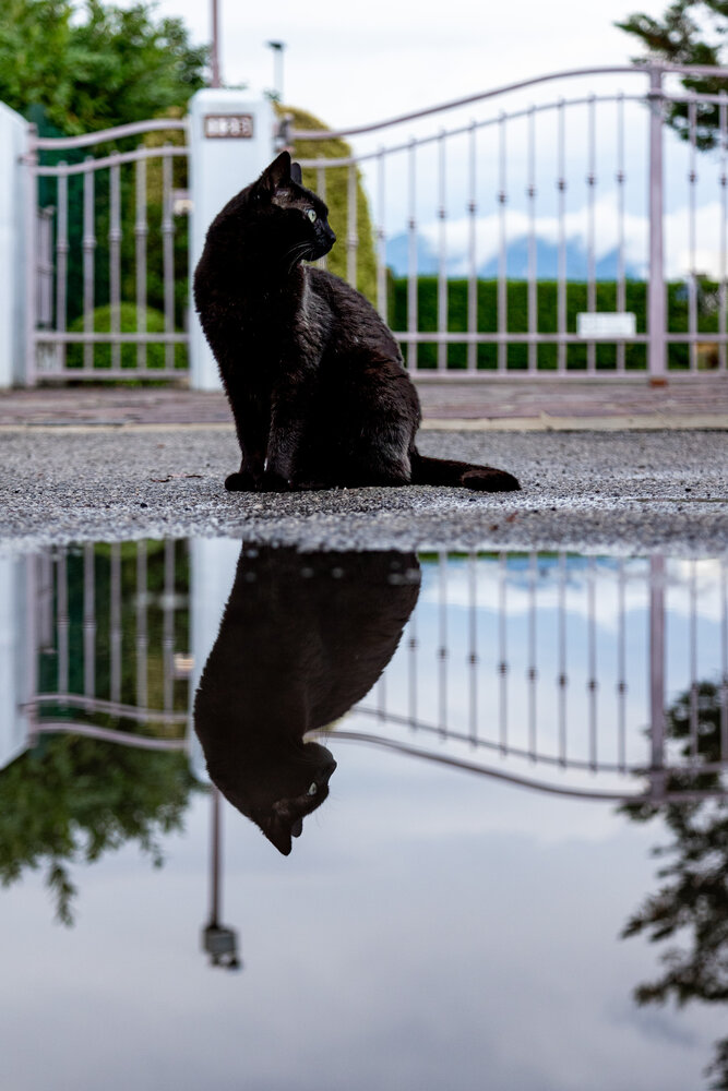 After the rain