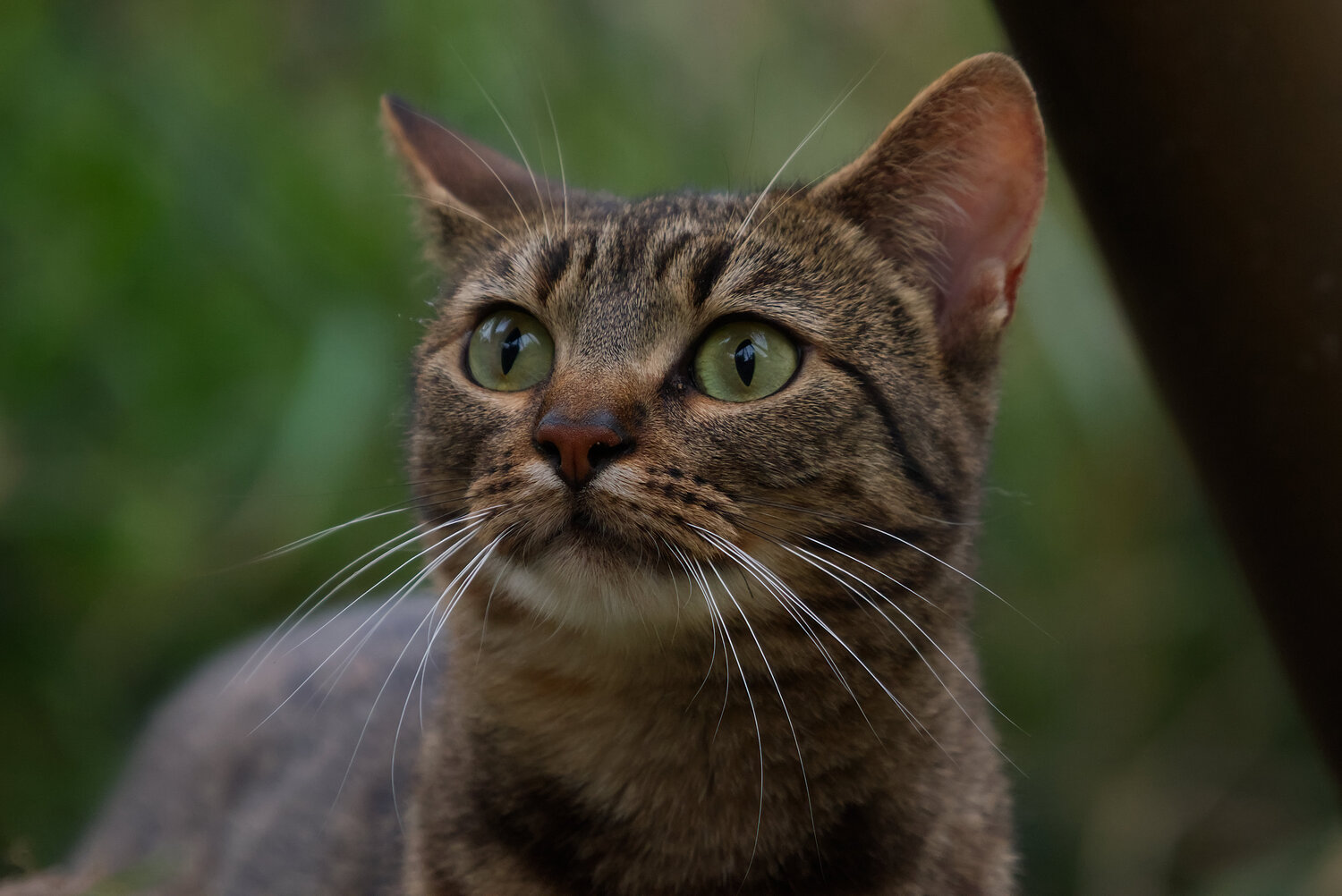 Photo #14027647