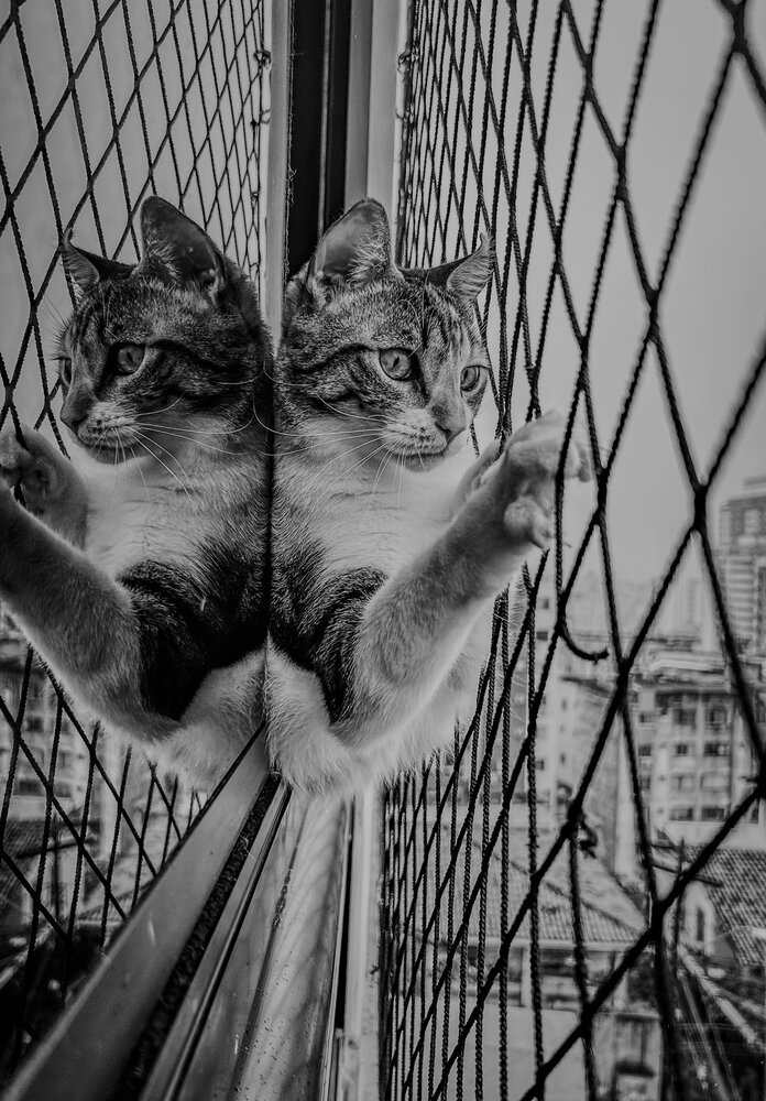 Photograph by Márcio Garcia
